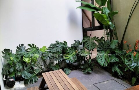 Gia Thịnh Hưng – BT tư nhân – Euro Villa 1 (9)