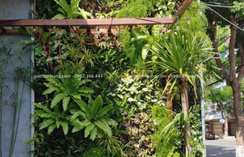 Gia Thịnh Hưng – Tiệm rau má Ramix – Phan Đăng Lưu – 2