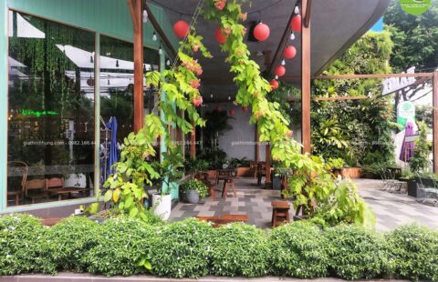Gia Thịnh Hưng – Tiệm rau má Ramix – Phan Đăng Lưu – 31