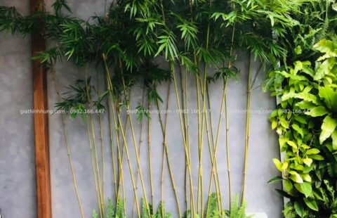 Gia Thịnh Hưng – Tiệm rau má Ramix – Phan Đăng Lưu – 32