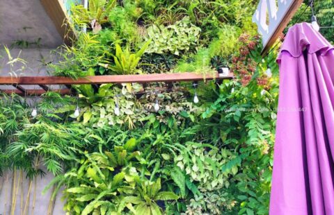 Gia Thịnh Hưng – Tiệm rau má Ramix – Phan Đăng Lưu – 36