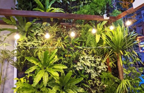 Gia Thịnh Hưng – Tiệm rau má Ramix – Phan Đăng Lưu – 5