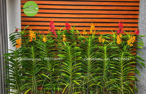 1e6842f874be84e0ddaf copy