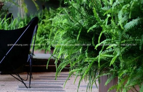 GTH Garden – Nhà hàng La Forêt – Đà Lạt