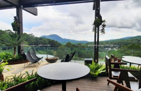 Gia Thịnh Hưng – Nhà hàng La Forêt – 01 Trần Thánh Tông – 11