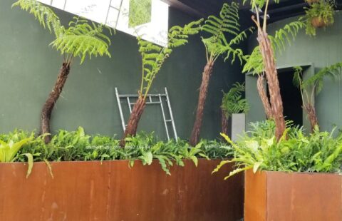Gia Thịnh Hưng – Nhà hàng La Forêt – 01 Trần Thánh Tông – 16