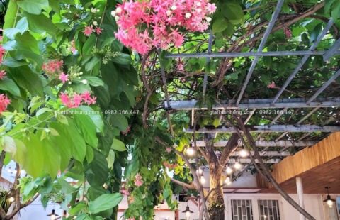 Gia Thịnh Hưng – Tiệm cà phê Chiều thứ 7 – 02 Thanh Lương 18 – 9