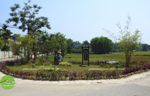 Thôn Thái Lai (1)