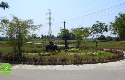 Thôn Thái Lai (2)