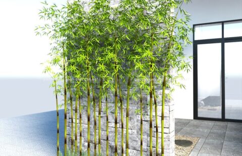 Bản vẽ thiết kế nhà ở – Đỗ Anh Hàn, Đà Nẵng (1)