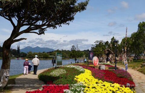 Gia Thịnh Hưng – Festival hoa Đà Lạt 2022 – 58