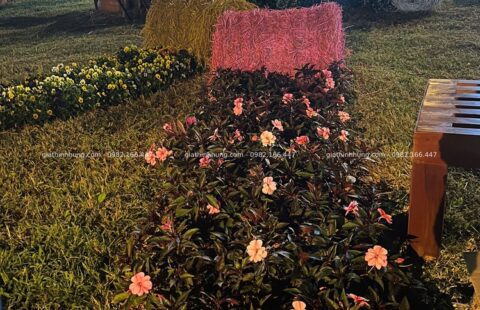Gia Thịnh Hưng – Festval hoa Đà Lạt 2022 – 13