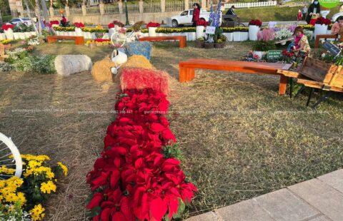 Gia Thịnh Hưng – Festval hoa Đà Lạt 2022 – 14