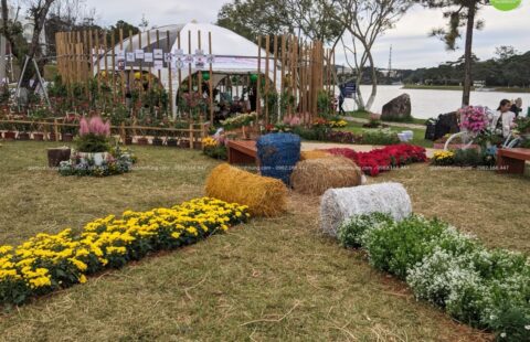 Gia Thịnh Hưng – Festval hoa Đà Lạt 2022 – 15