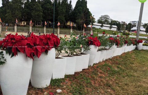 Gia Thịnh Hưng – Festval hoa Đà Lạt 2022 – 21