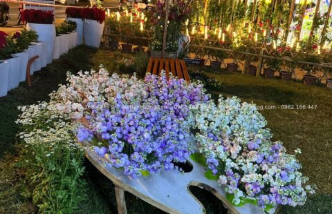 Gia Thịnh Hưng – Festval hoa Đà Lạt 2022 – 32