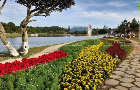 Gia Thịnh Hưng – Festval hoa Đà Lạt 2022 – 47