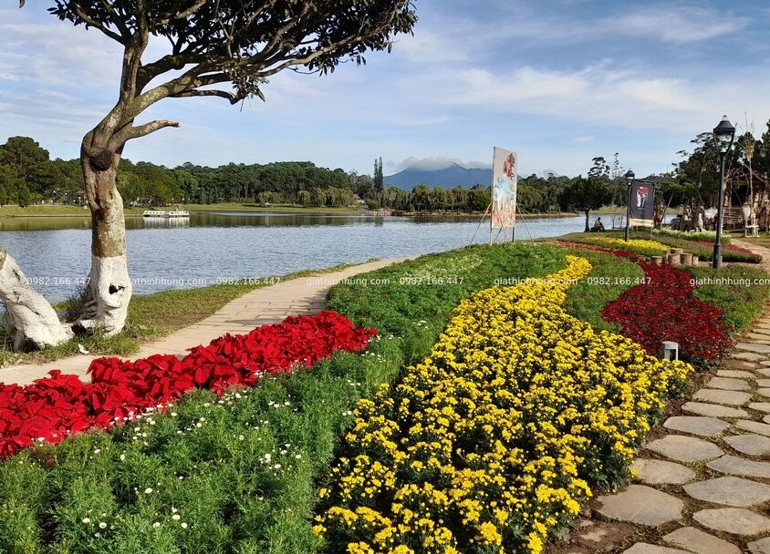 Festival hoa Đà Lạt lần thứ IX năm 2022