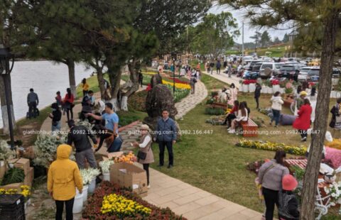 Gia Thịnh Hưng – Festval hoa Đà Lạt 2022 – 51
