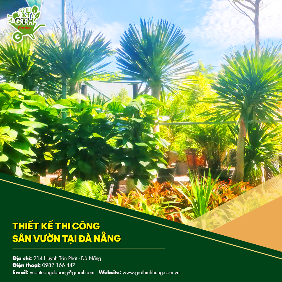 Thiết kế thi công sân vườn tại Đà Nẵng kết hợp đèn chiếu sáng Thiết kế thi công sân vườn tại Đà Nẵng kết hợp đèn chiếu sáng