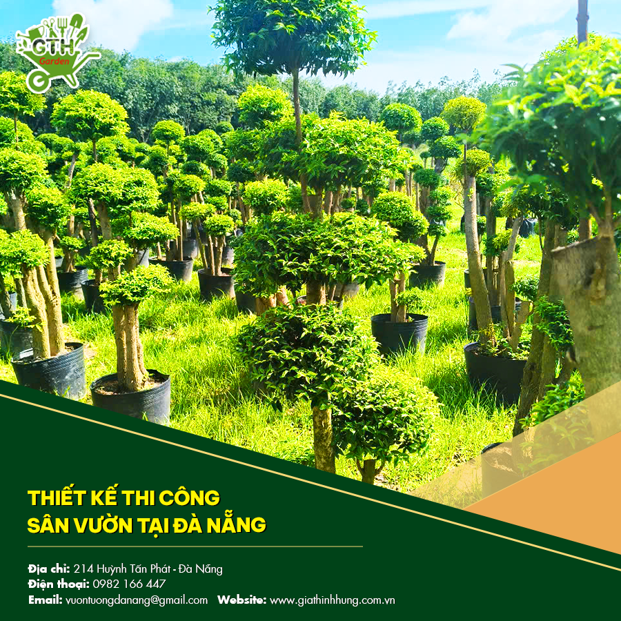 Quá trình thiết kế thi công sân vườn tại Đà Nẵng, đảm bảo thẩm mỹ Quá trình thiết kế thi công sân vườn tại Đà Nẵng, đảm bảo thẩm mỹ
