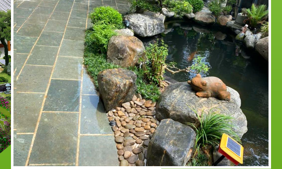 thi-cong-ho-ca-koi-tai-da-nang-www.giathinhhung.com.vn-2