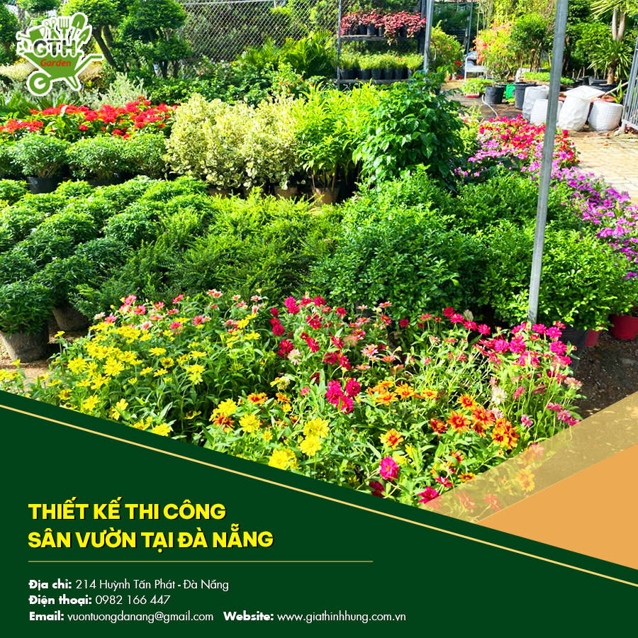 Sân vườn được thiết kế thi công tại Đà Nẵng, hài hòa giữa cây xanh Sân vườn được thiết kế thi công tại Đà Nẵng, hài hòa giữa cây xanh