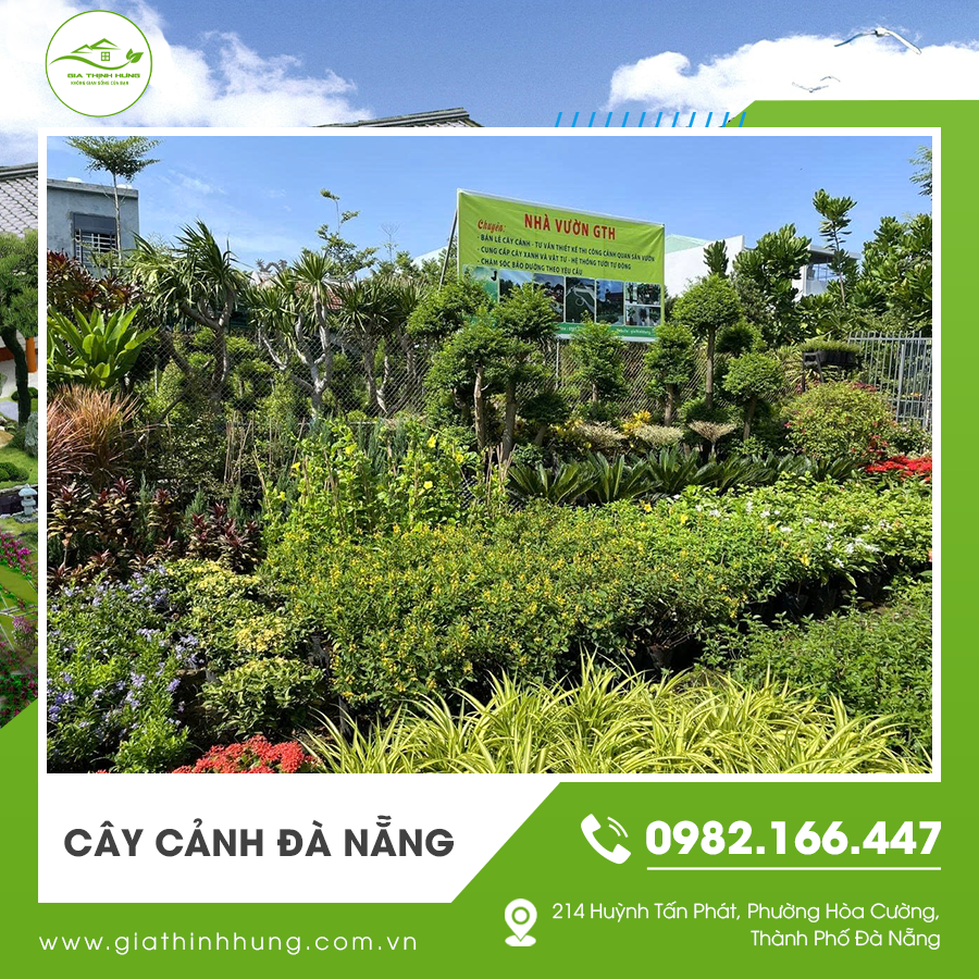 Không gian sân vườn thêm tươi mát với nhiều loại cây cảnh Đà Nẵng độc đáo