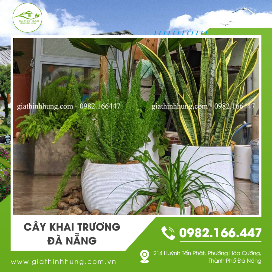 Không gian buổi lễ thêm sang trọng với cây khai trương Đà Nẵng trang trí tinh tế