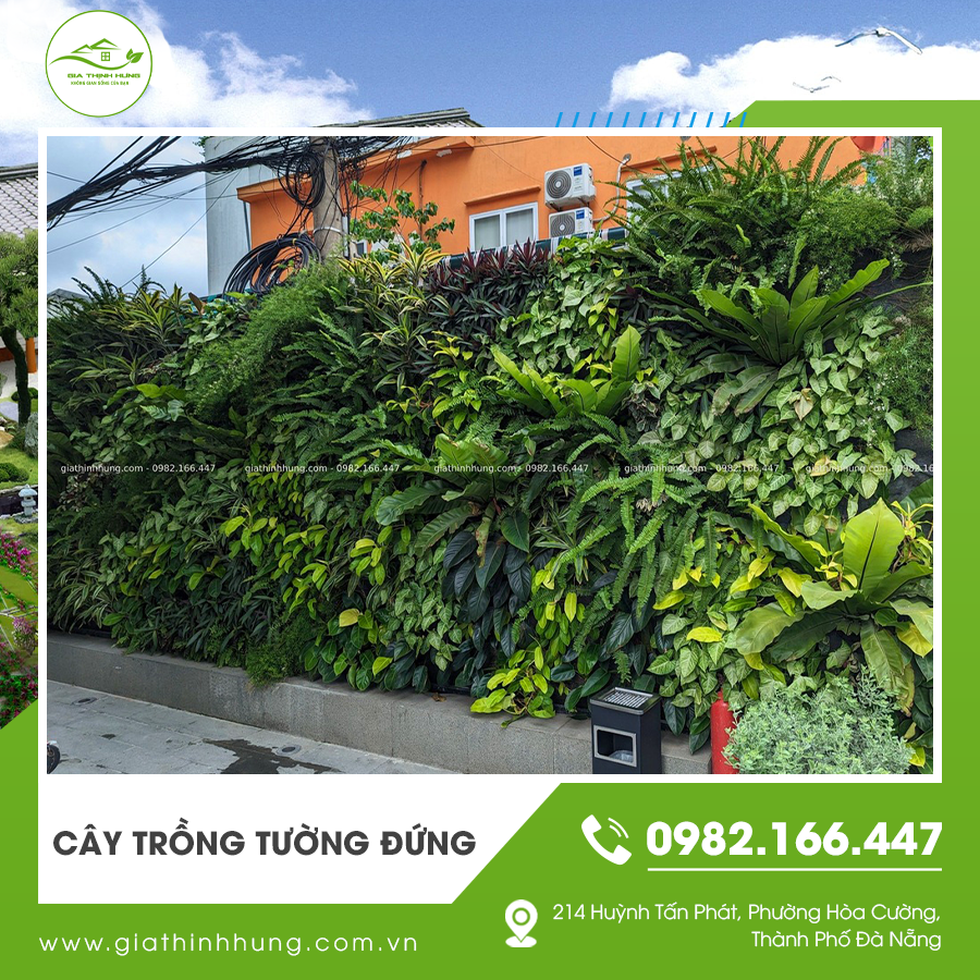 Cây trồng tường đứng ngoài trời giúp thanh lọc không khí hiệu quả