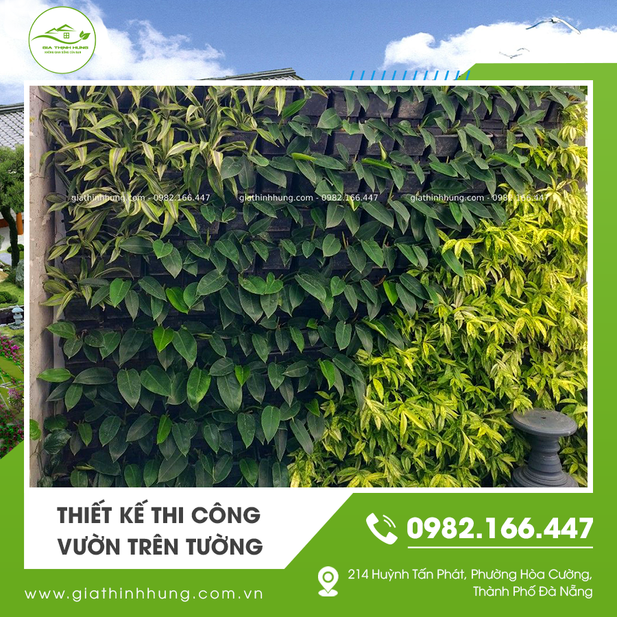 Thiết kế thi công vườn trên tường mang lại mảng xanh ấn tượng